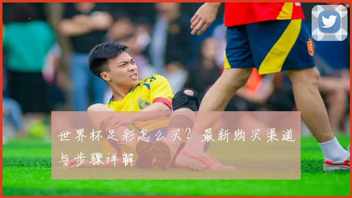 世界杯足彩怎么买？最新购买渠道与步骤详解