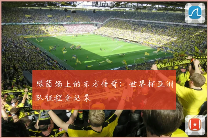 绿茵场上的东方传奇：世界杯亚洲队征程全记录